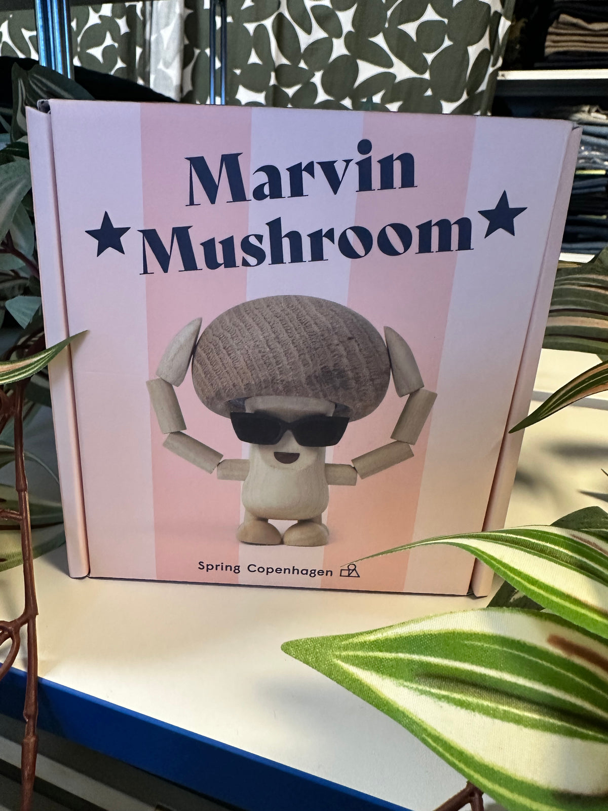 MARVIN MUSHROOM "Le Champignon"