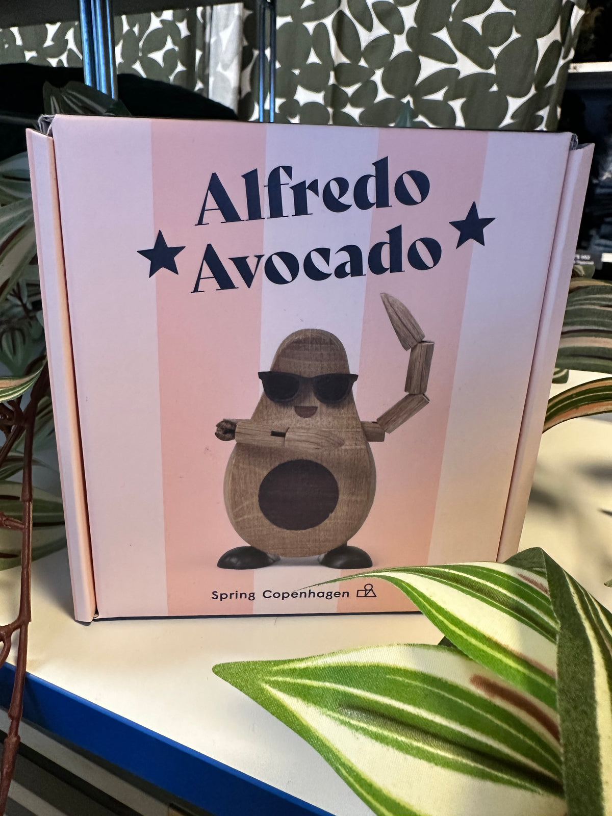 ALFREDO AVOCADO "L'avocat"